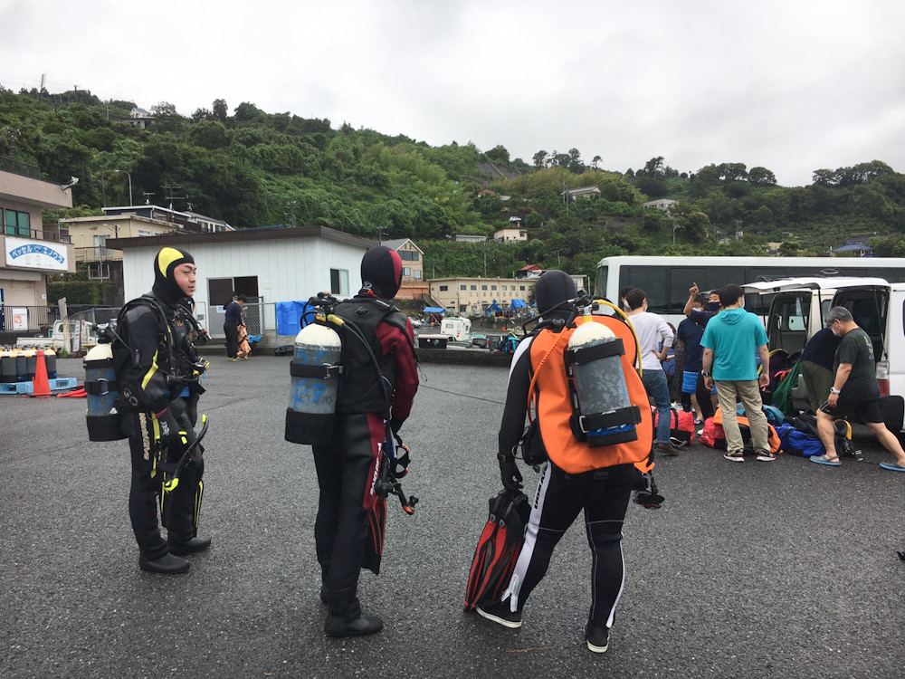 江の浦　ダイビング