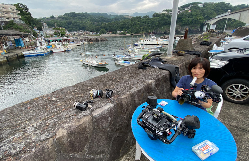 岩　ビーチ　ダイビング　水中写真撮影