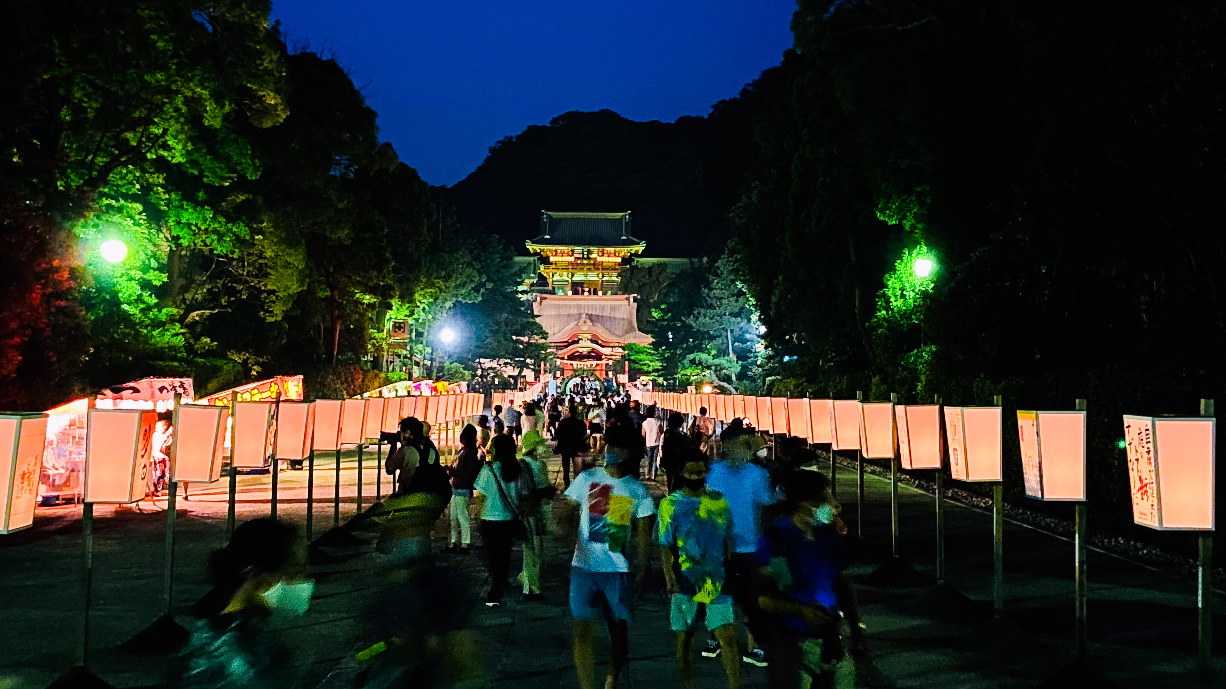 鶴岡八幡宮　鎌倉　ぼんぼり祭り