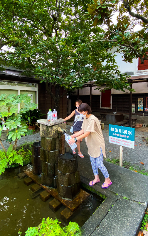 柿田川　清流　三島