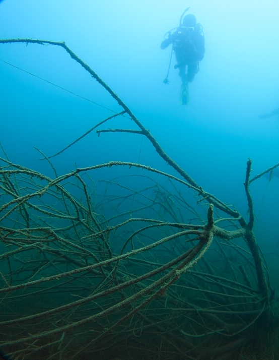 本栖湖　高所潜水　PADI　アルティチュード