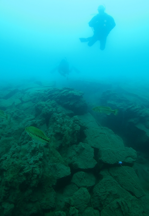 本栖湖　高所潜水　PADI　アルティチュード　ブラックバス