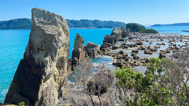 赤鯱　串本　ダイビング　鎌倉　湘南　橋杭岩