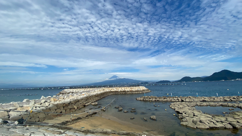 平沢　西伊豆　ダイビング