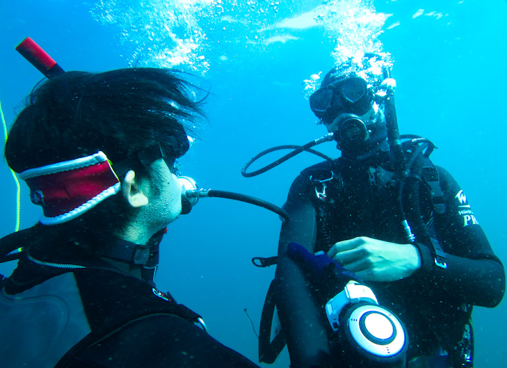 PADI オープンウォーターダイバー　ダイブマスター　ダイビング　Cカード