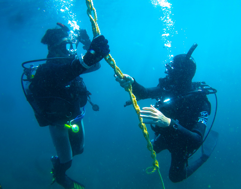 PADI オープンウォーターダイバー　ダイブマスター　ダイビング　Cカード