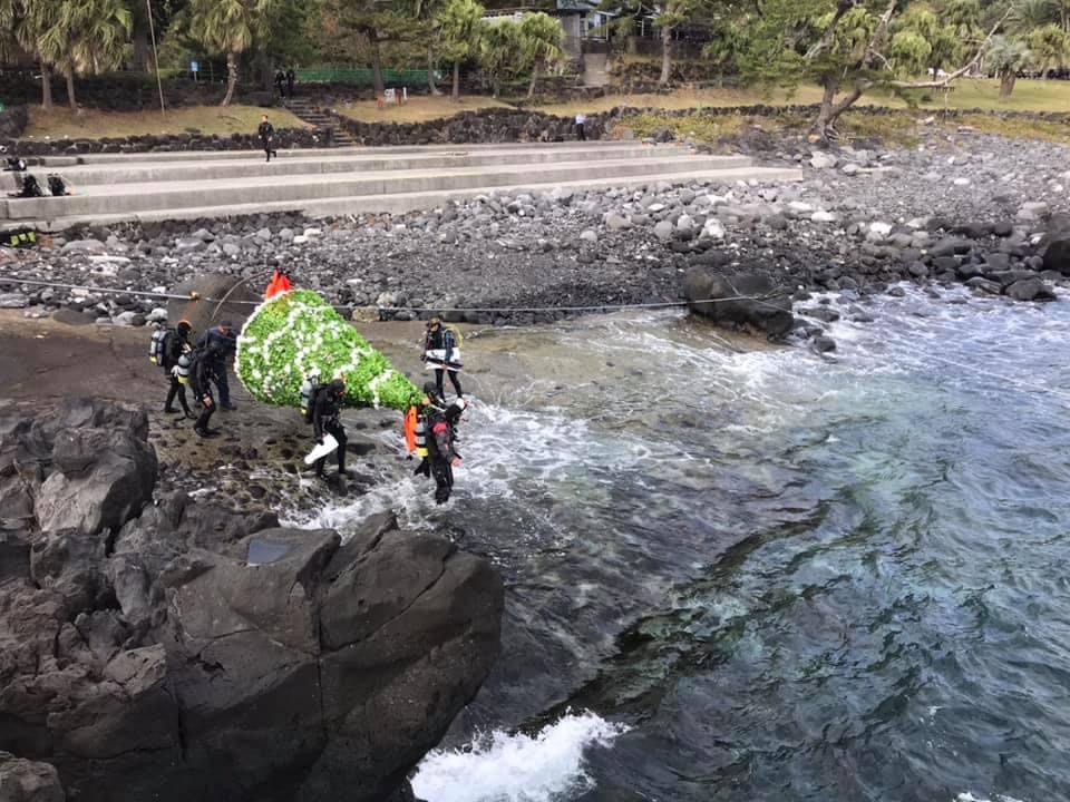 伊豆海洋公園　クリスマスツリー