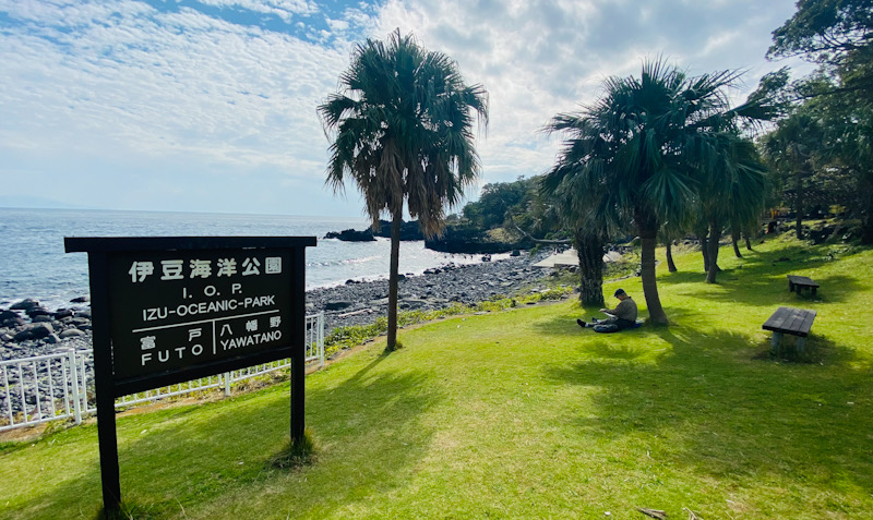 伊豆海洋公園　ダイビング