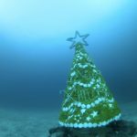 伊豆海洋公園　クリスマスツリー