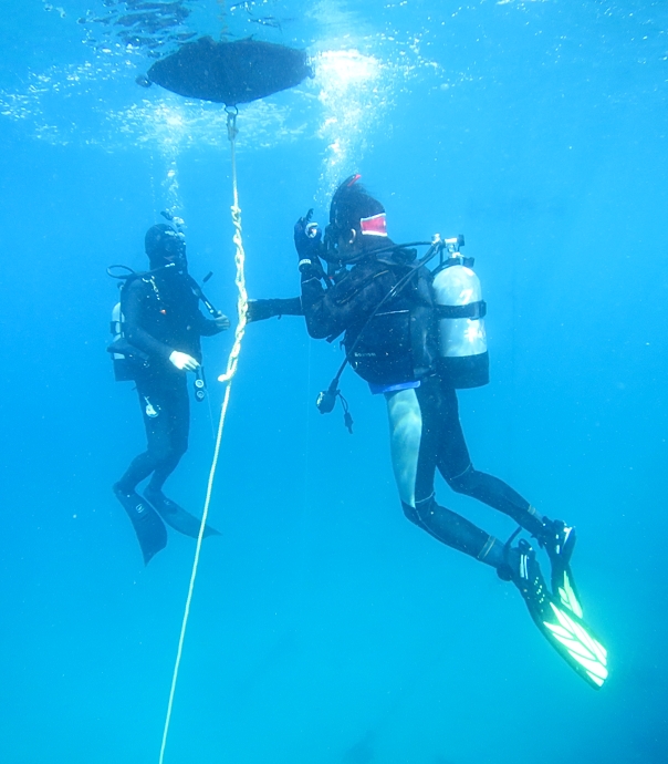 PADI オープンウォーターダイバーコース 神奈川　ライセンス