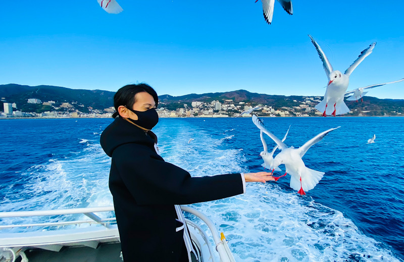 初島　フェリー　カモメ