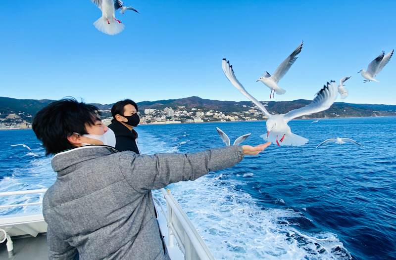 初島　フェリー　カモメ