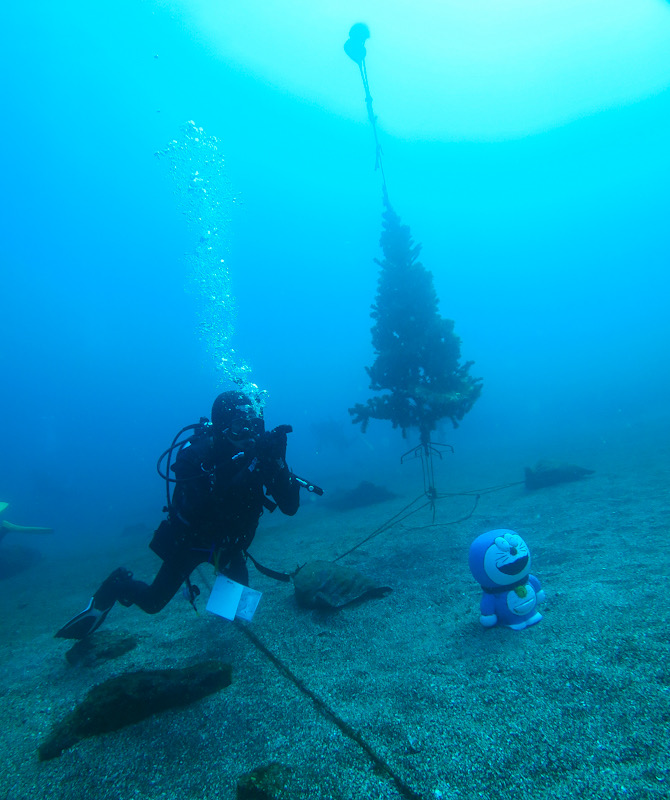 PADI サーチアンドリカバリー　ダイブマスター　ダイビング