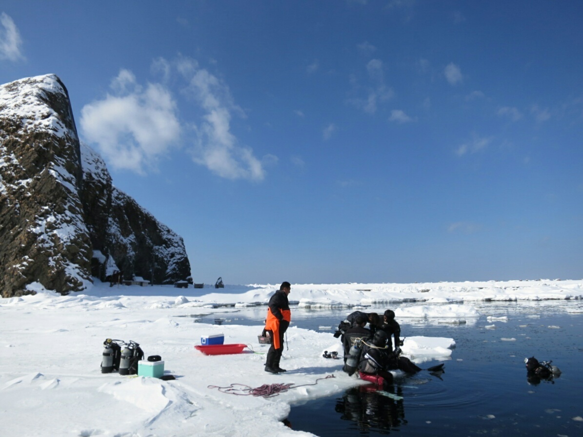 流氷　ダイビング　北海道　PADI　アイスダイビング