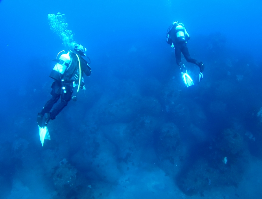 江の浦　ボートポイント　ダイビング　無限城