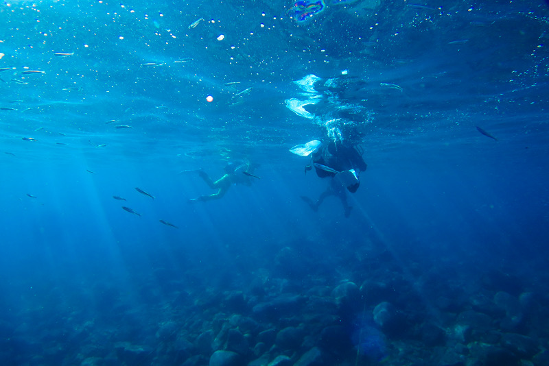 江の浦　ダイビング　中性浮力　講習