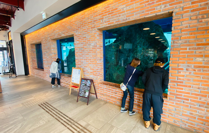 水槽　ダイビング　千葉　水族館