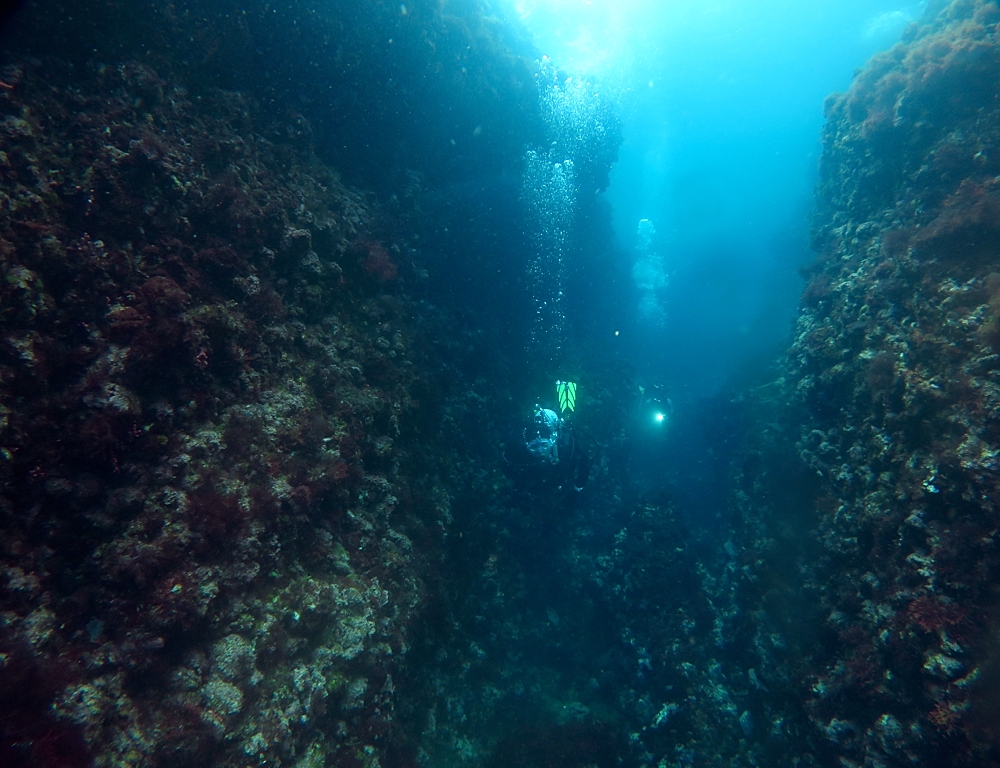 田子　ダイビング　水中洞窟