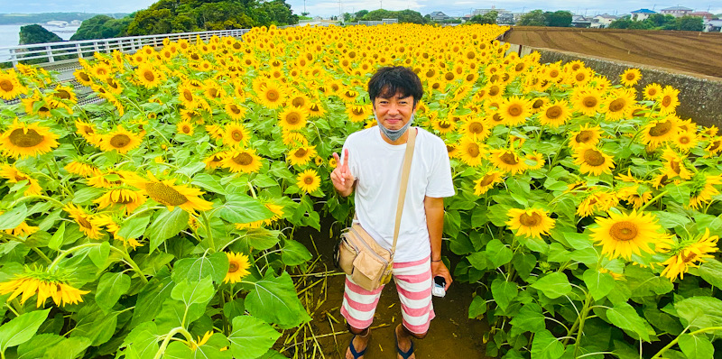 神奈川　三浦　ひまわり畑