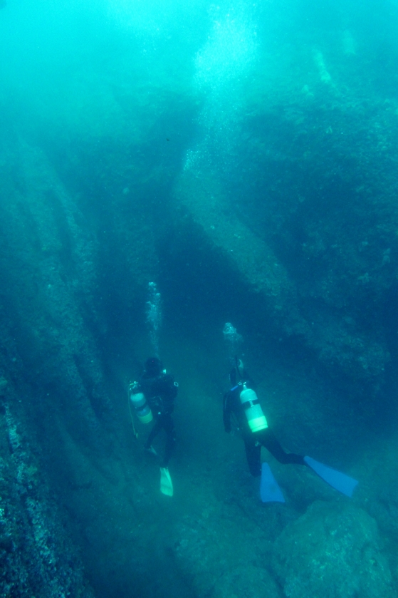 三浦　ダイビング　宮川湾