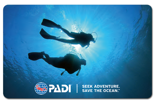 padi 記念ダイブ　カード