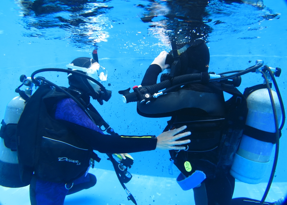 PADI　オープンウォーターダイバーコース　神奈川　プール