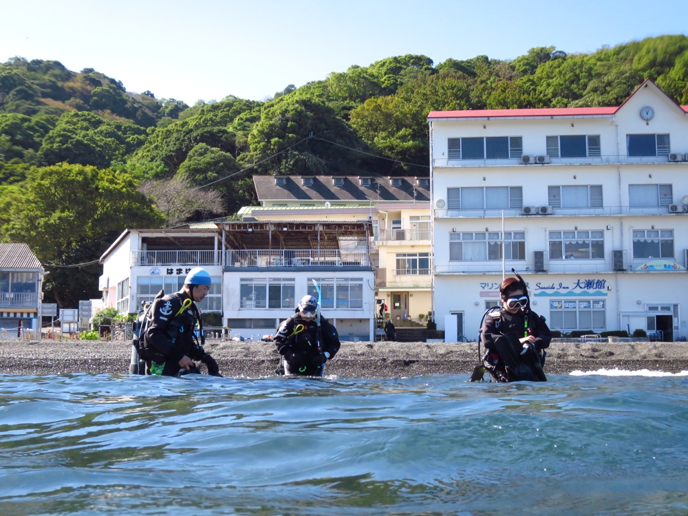 padi 　アドバンス　大瀬崎　神奈川　ダイビング