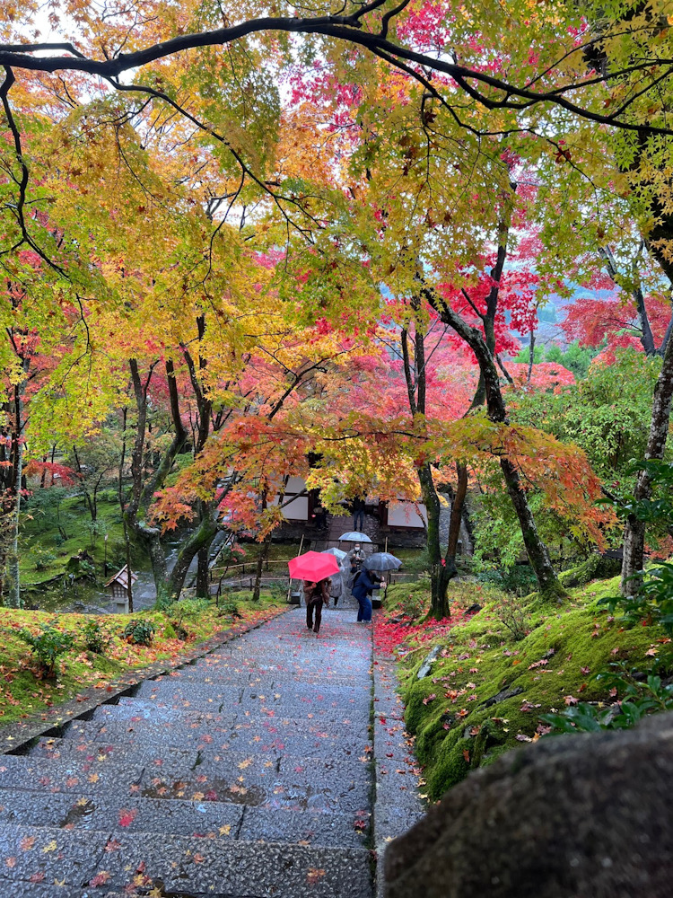 京都　紅葉　嵐山