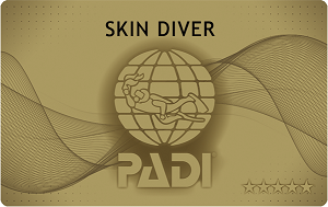 PADI　スキンダイビング　Cカード　ライセンス