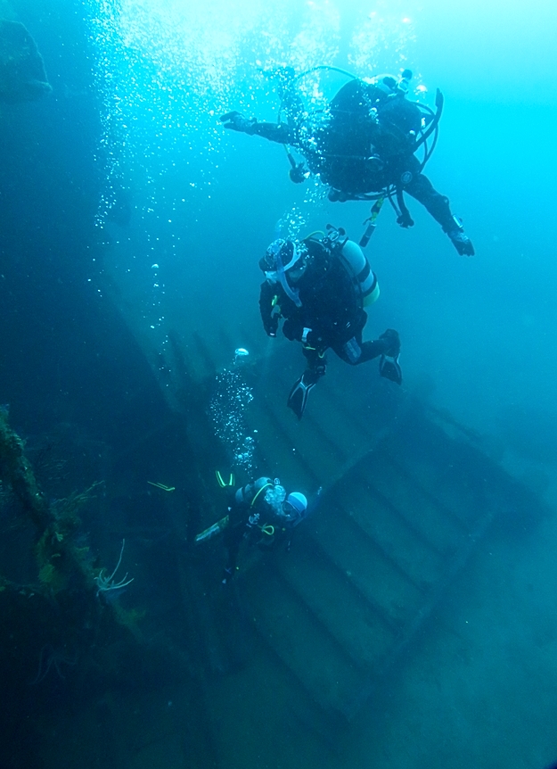 熱海　ダイビング　神奈川　沈船