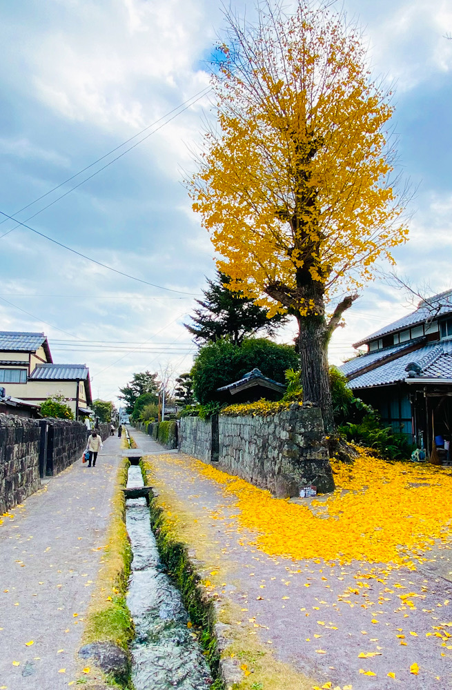 島原城　武家屋敷