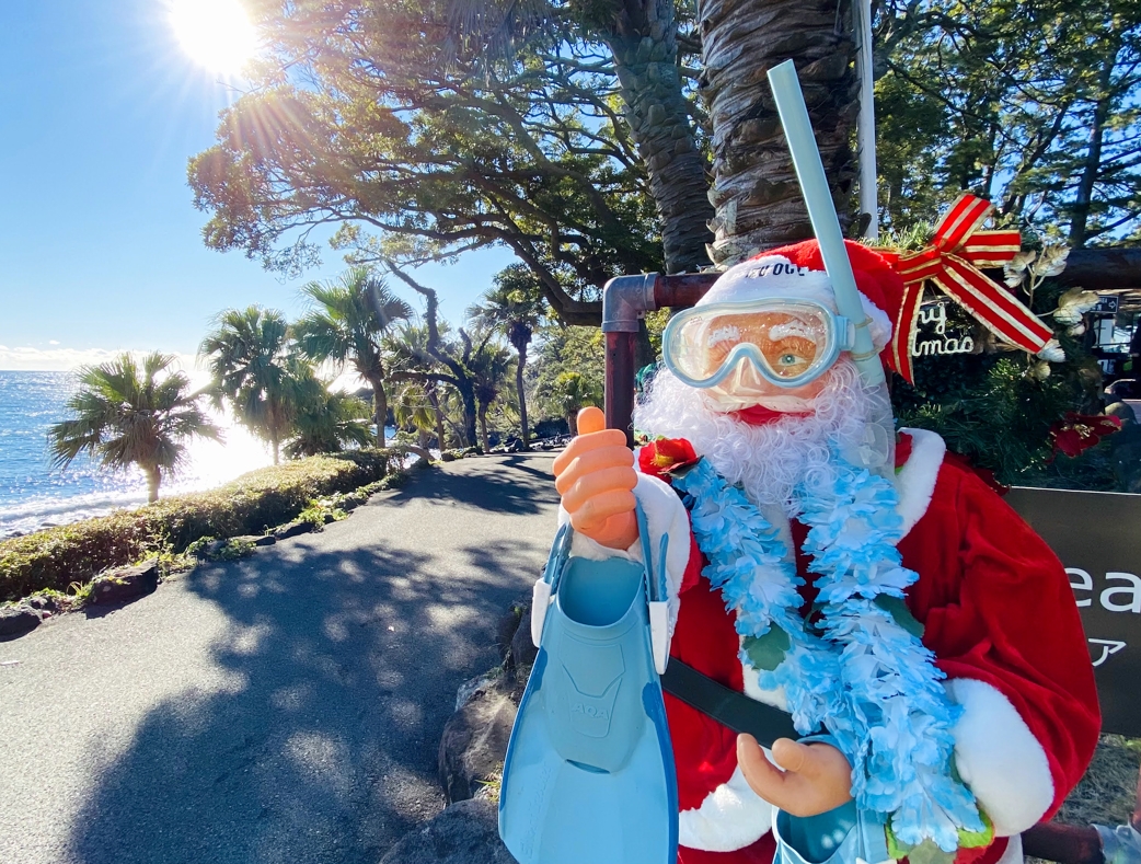 クリスマス　IOP　伊豆海洋公園　ダイビング