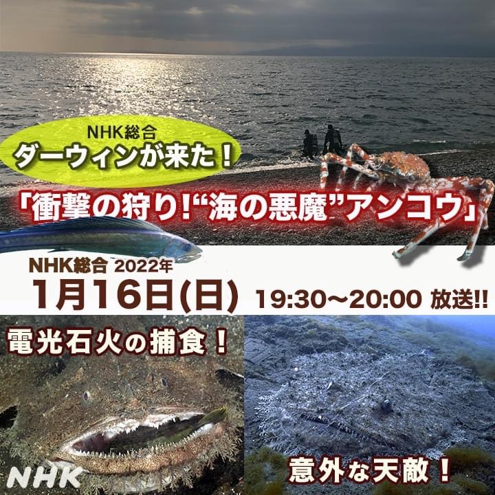 ダーウィンが来た　NHK