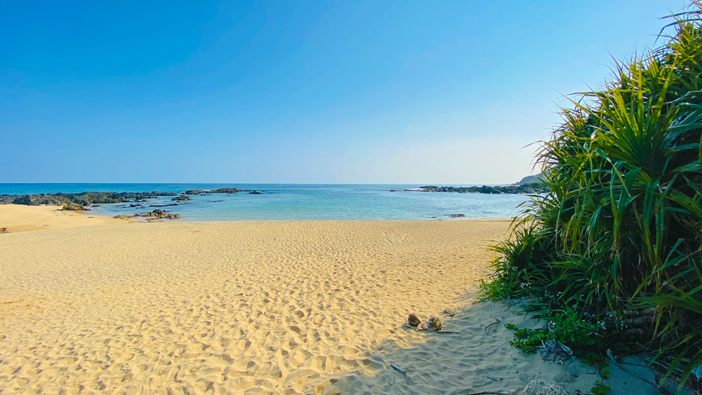 手広海岸　奄美大島　ウミウシ