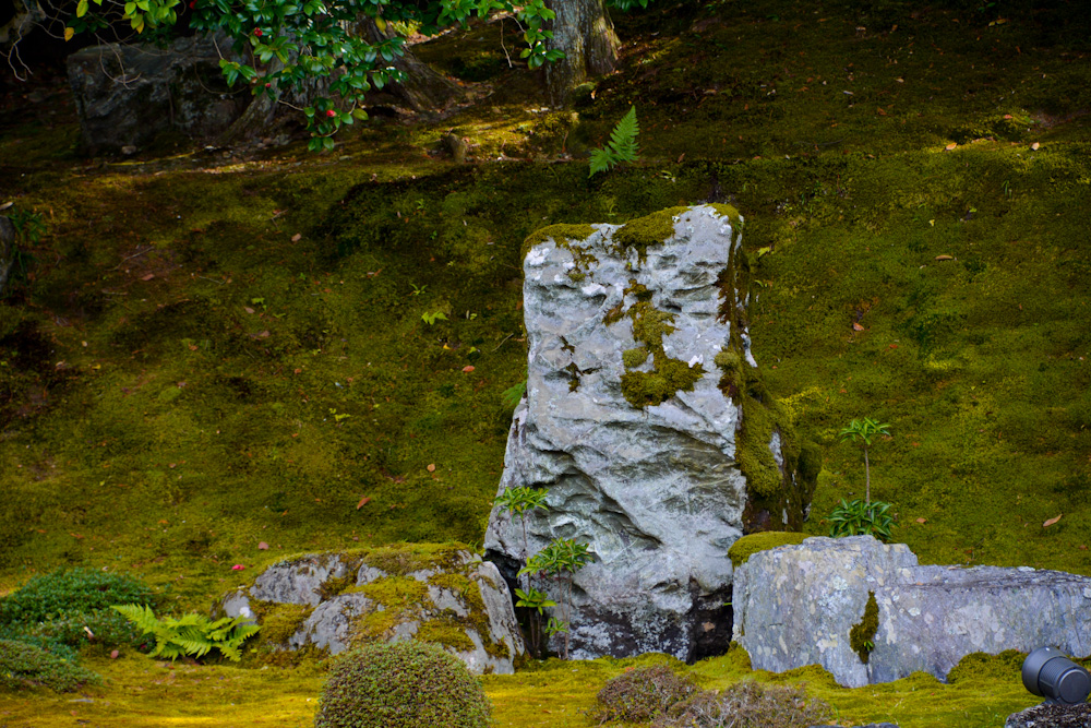 藤戸石　三宝院　醍醐寺