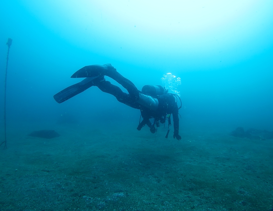 江の浦　ダイビング　中性浮力