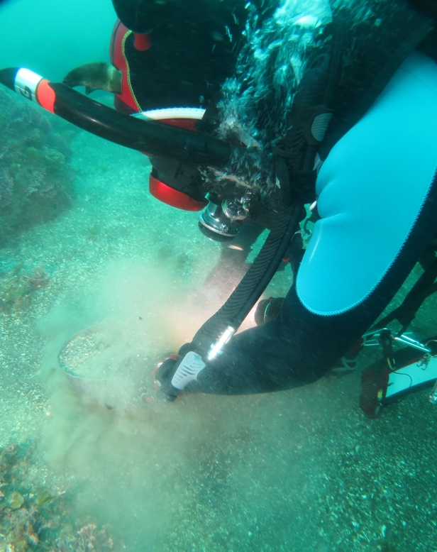 福浦　ダイビング　神奈川　鎌倉　湘南