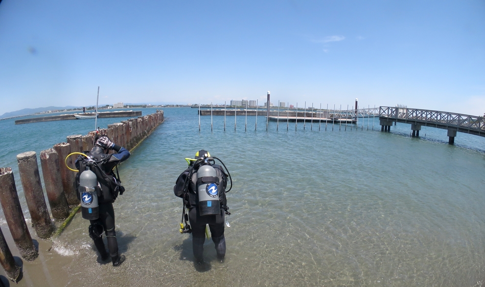 浜名湖　ダイビング　神奈川　ダイビングショップ