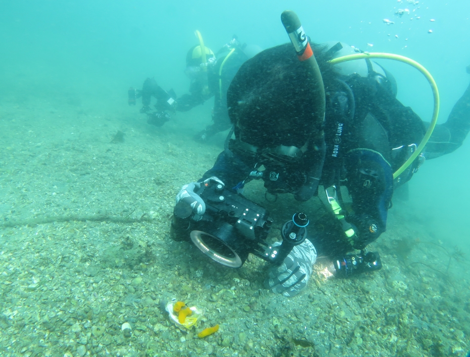 浜名湖　ダイビング　神奈川　ダイビングショップ