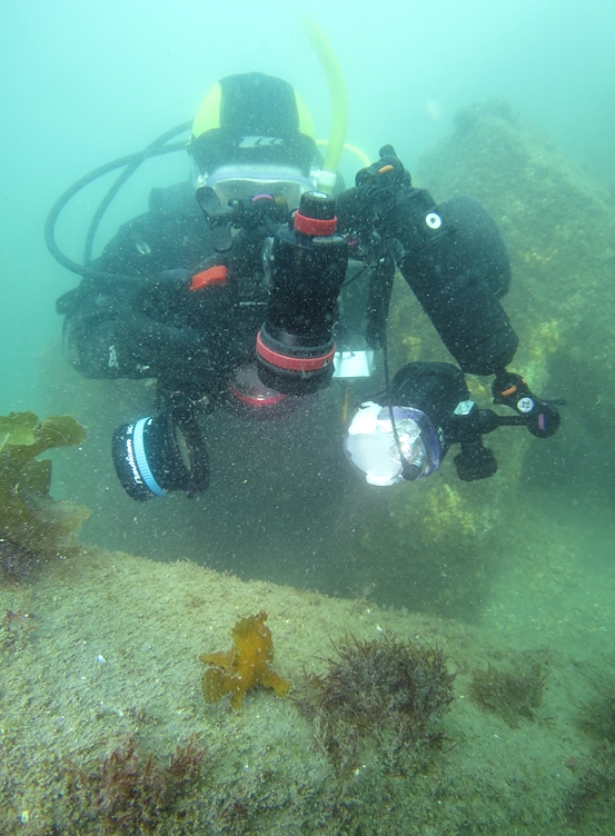 浜名湖　ダイビング　神奈川　ダイビングショップ