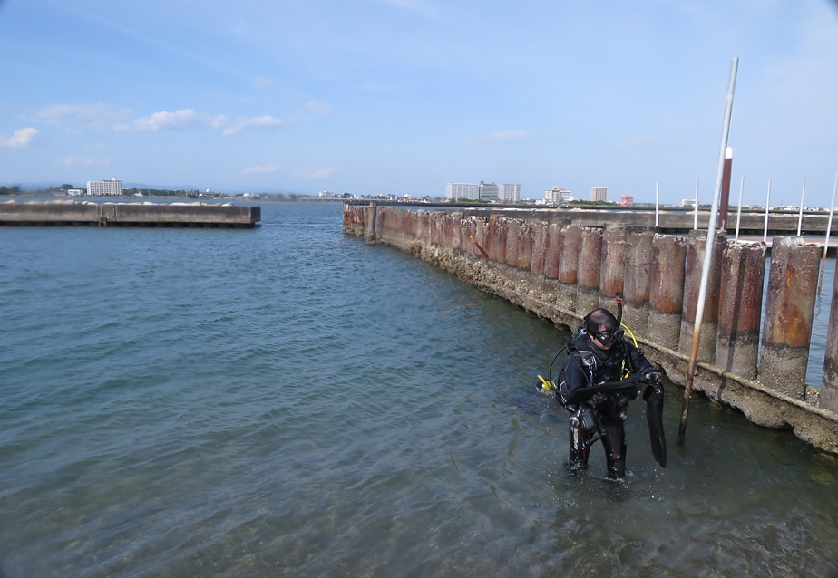 浜名湖　ダイビング　神奈川　ダイビングショップ