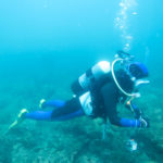 江の浦　中性浮力　神奈川　ダイビング　講習