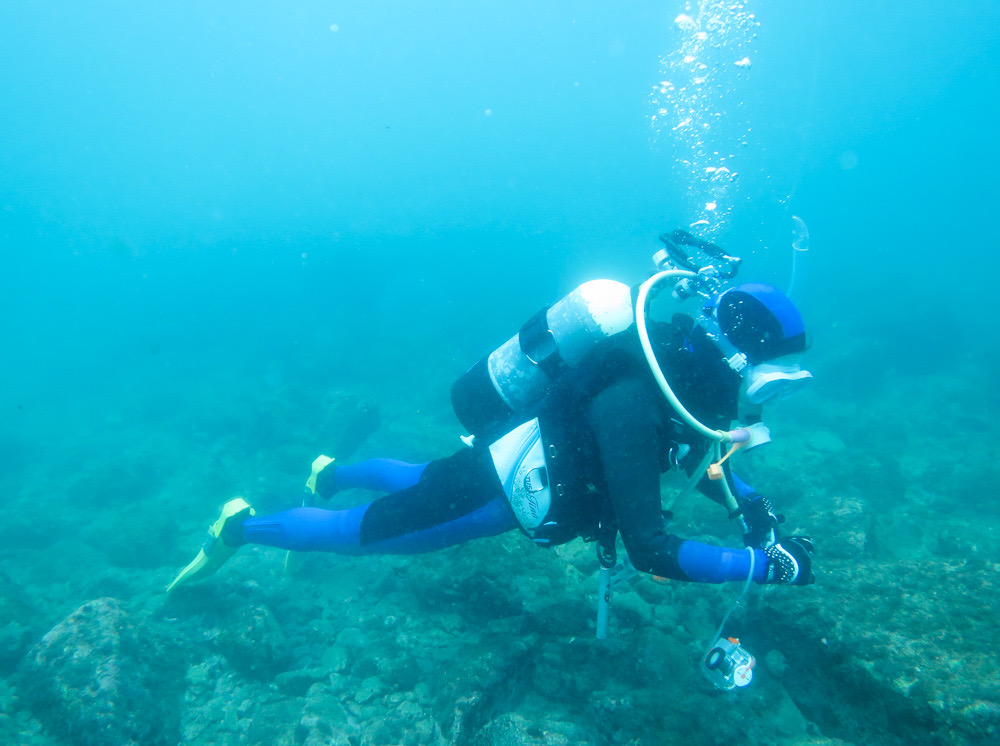 江の浦　中性浮力　神奈川　ダイビング　講習