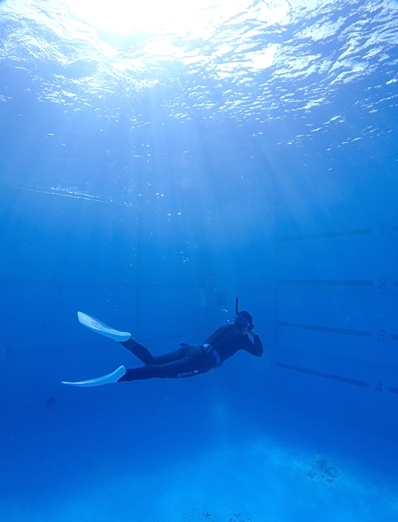 スキンダイビング講習　PADI　プール　神奈川　ラウト