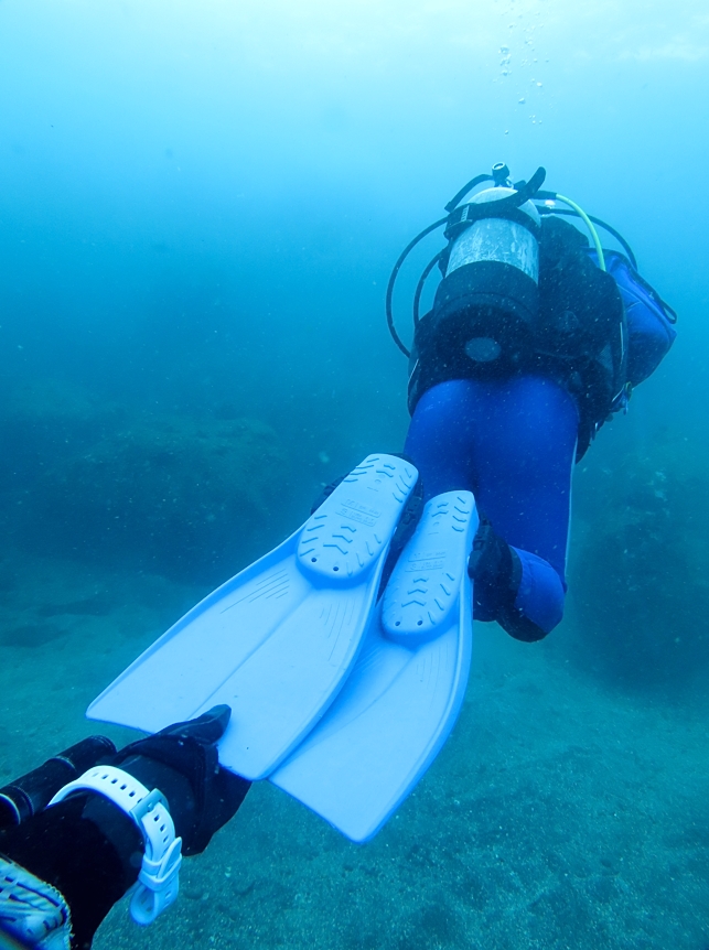 神奈川　ダイビング　中性浮力　トレーニング