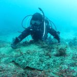 江の浦　ダイビング　鎌倉　ヒラメ
