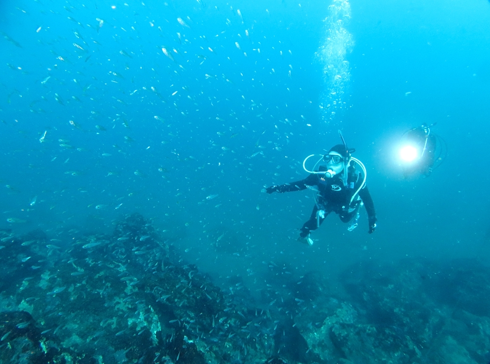 江の浦　ダイビング　鎌倉