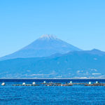 伊豆　富士山