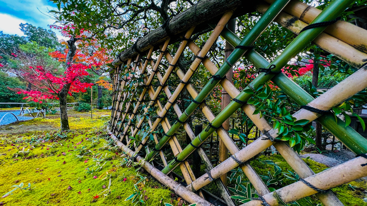 光悦寺　京都　鷹峯　琳派　紅葉