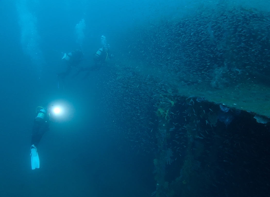 熱海　ダイビング 沈船　洞窟　ポイント